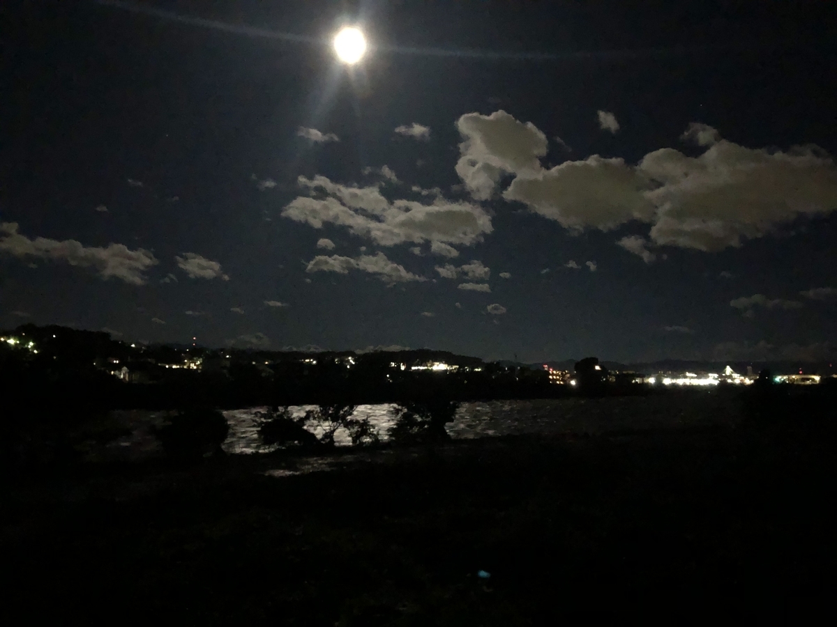 f:id:menobear:20191014151211j:plain:w300 f:id:menobear:20191014151211j:plain:w300