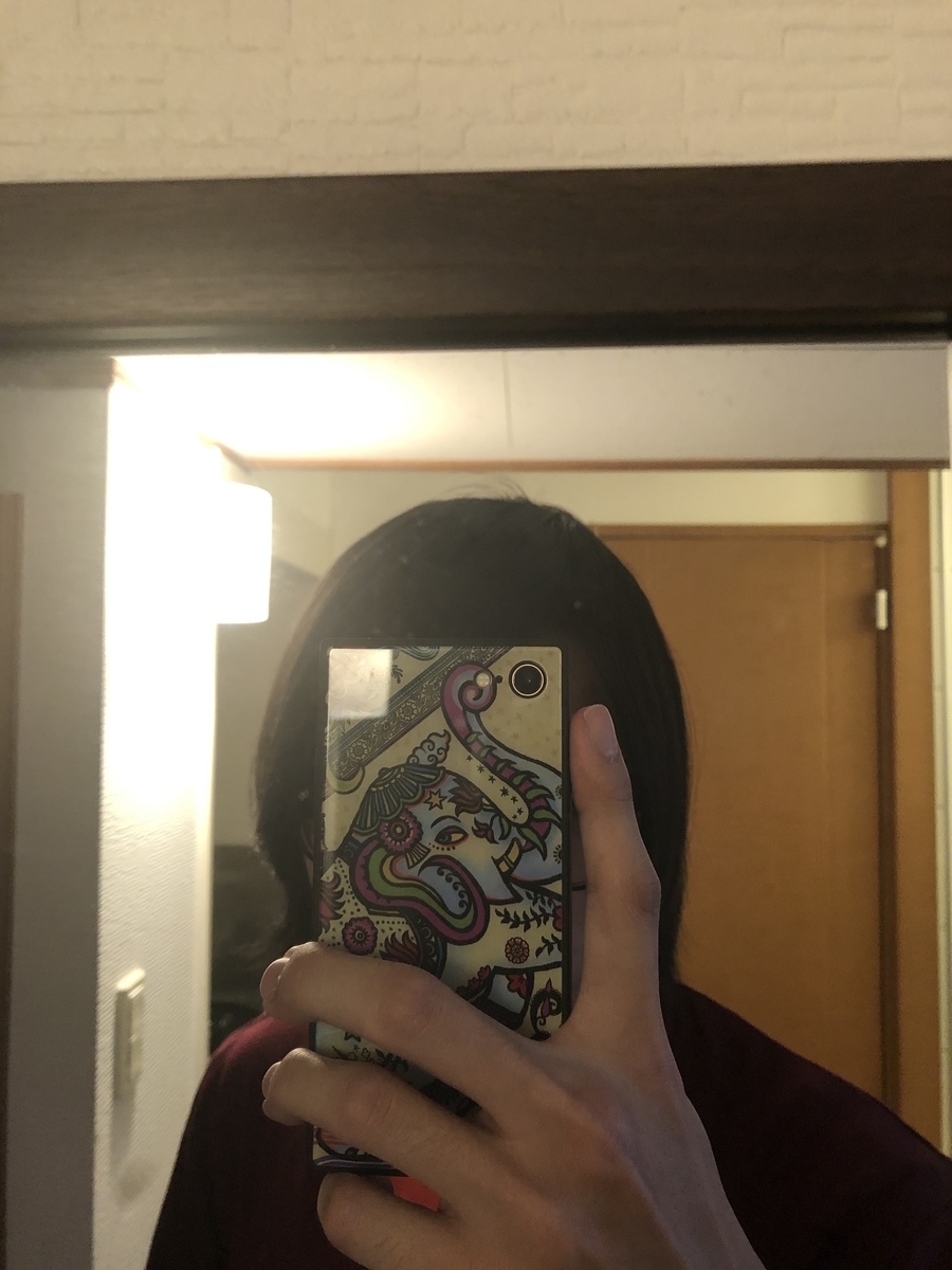 f:id:menobear:20200228112802j:plain:w300