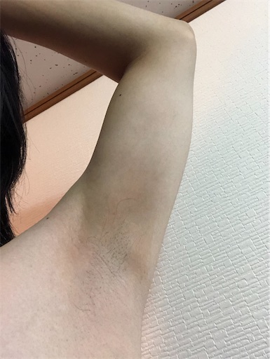 f:id:menobear:20200324163257j:image:w300