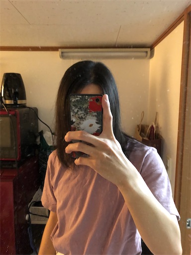 f:id:menobear:20210203215439j:plain