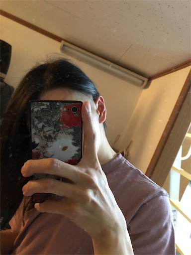 f:id:menobear:20210203215442j:plain