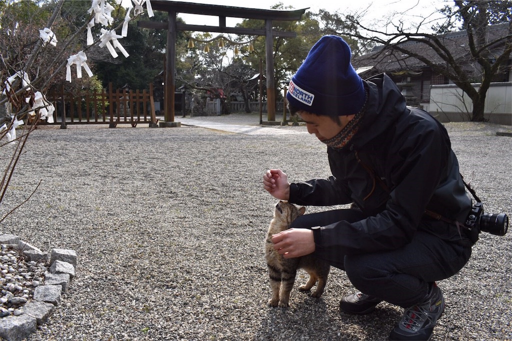 f:id:menono:20170406004554j:image f:id:menono:20170406004554j:image