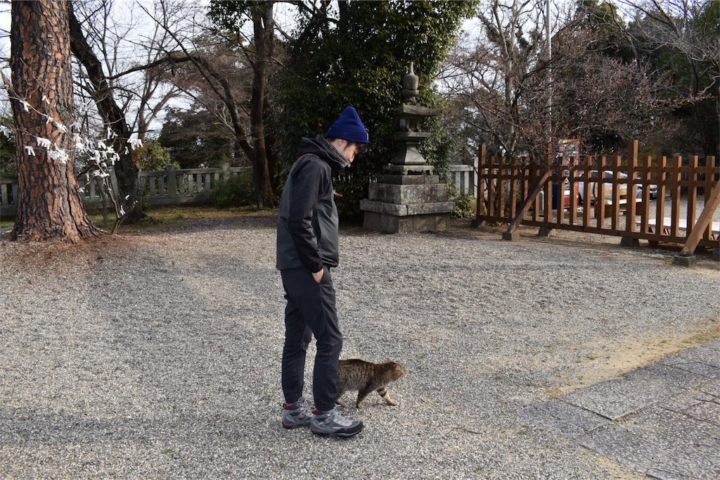 f:id:menono:20170406004602j:image f:id:menono:20170406004602j:image