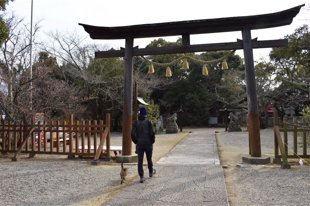 f:id:menono:20170406004643j:image f:id:menono:20170406004643j:image