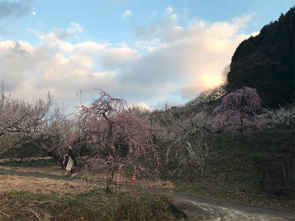 f:id:menono:20170411001216j:image f:id:menono:20170411001216j:image