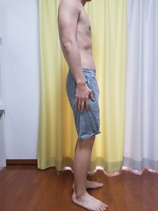 f:id:mensdiet:20171219102819j:plain