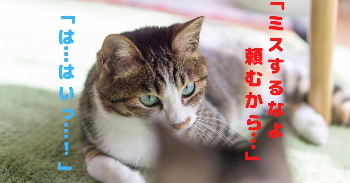 アイキャッチ画像