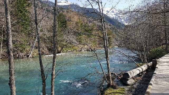 f:id:mentalx:20180722233636j:image