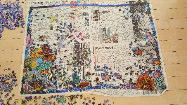 f:id:mentalx:20190109115117j:image