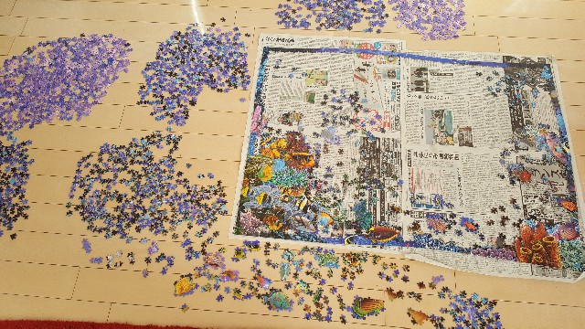 f:id:mentalx:20190109115130j:image