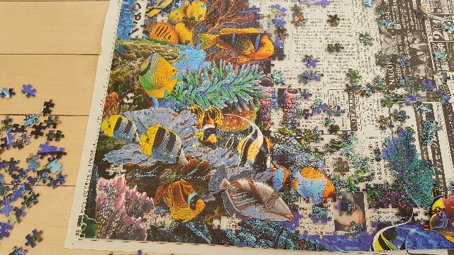 f:id:mentalx:20190109115326j:image