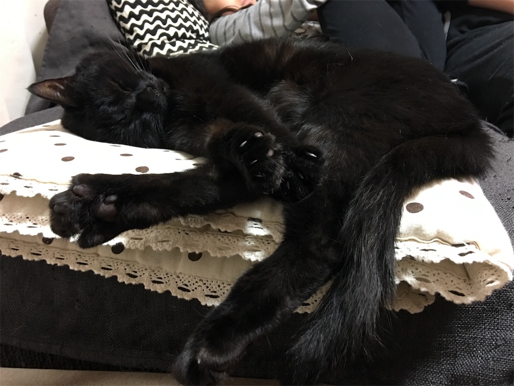 f:id:meow_mewmew:20170627131534j:image f:id:meow_mewmew:20170627131534j:image