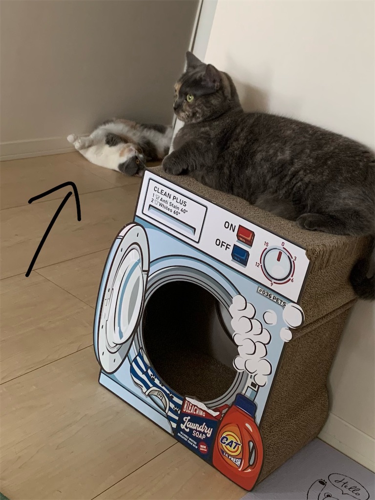 f:id:meowman:20220423215153j:image