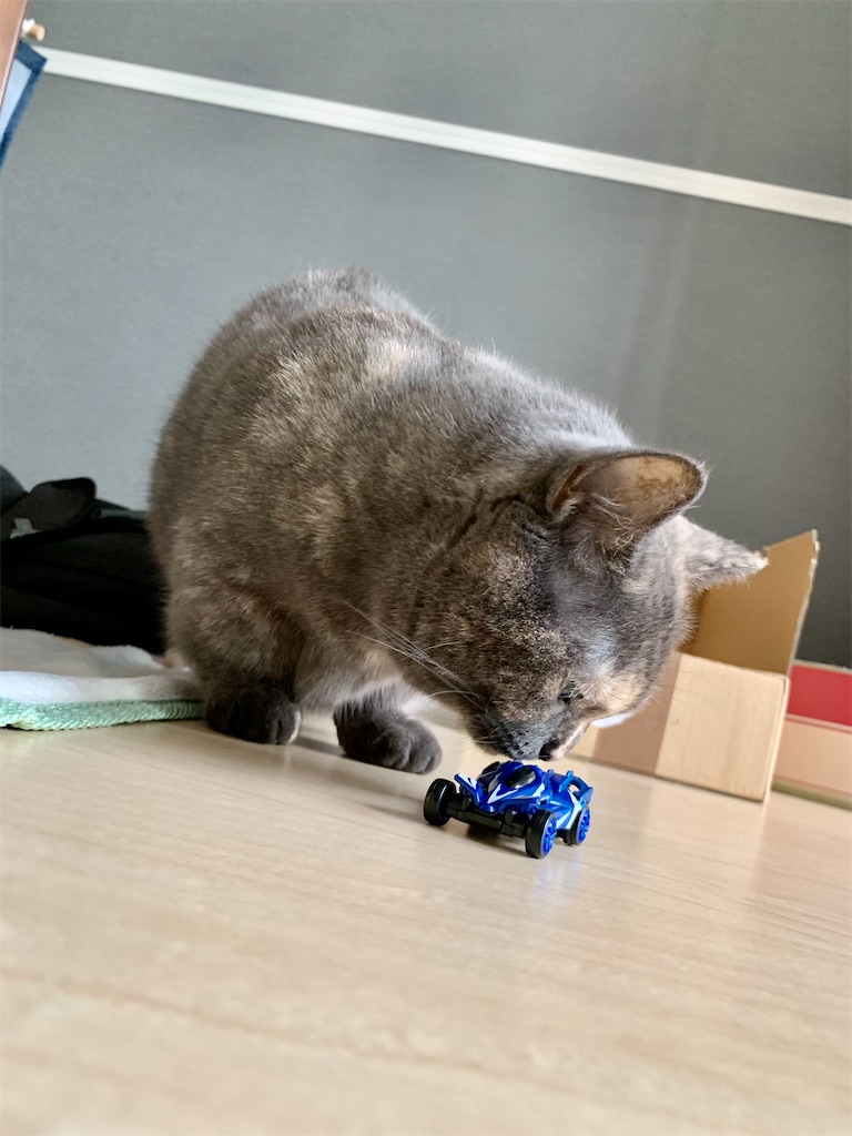 f:id:meowman:20220619205948j:image