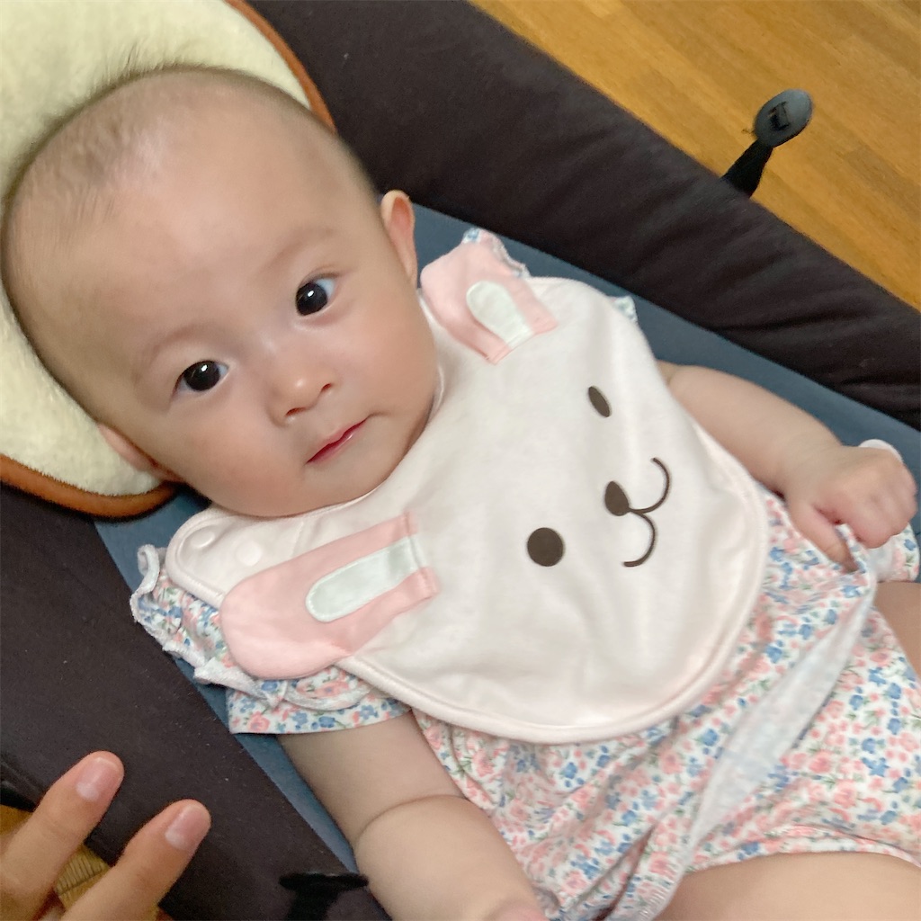 f:id:merankorinisuta:20210510085945j:image f:id:merankorinisuta:20210510085945j:image