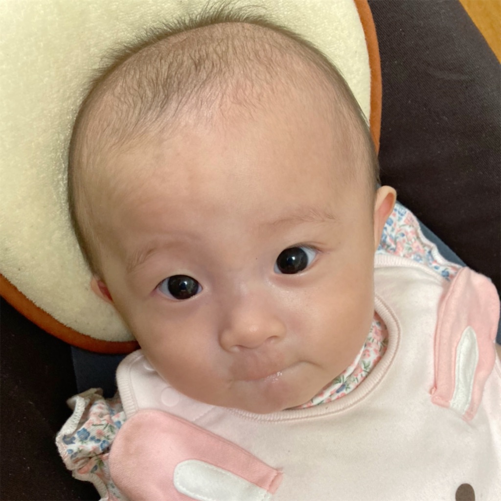 f:id:merankorinisuta:20210510090340j:image f:id:merankorinisuta:20210510090340j:image