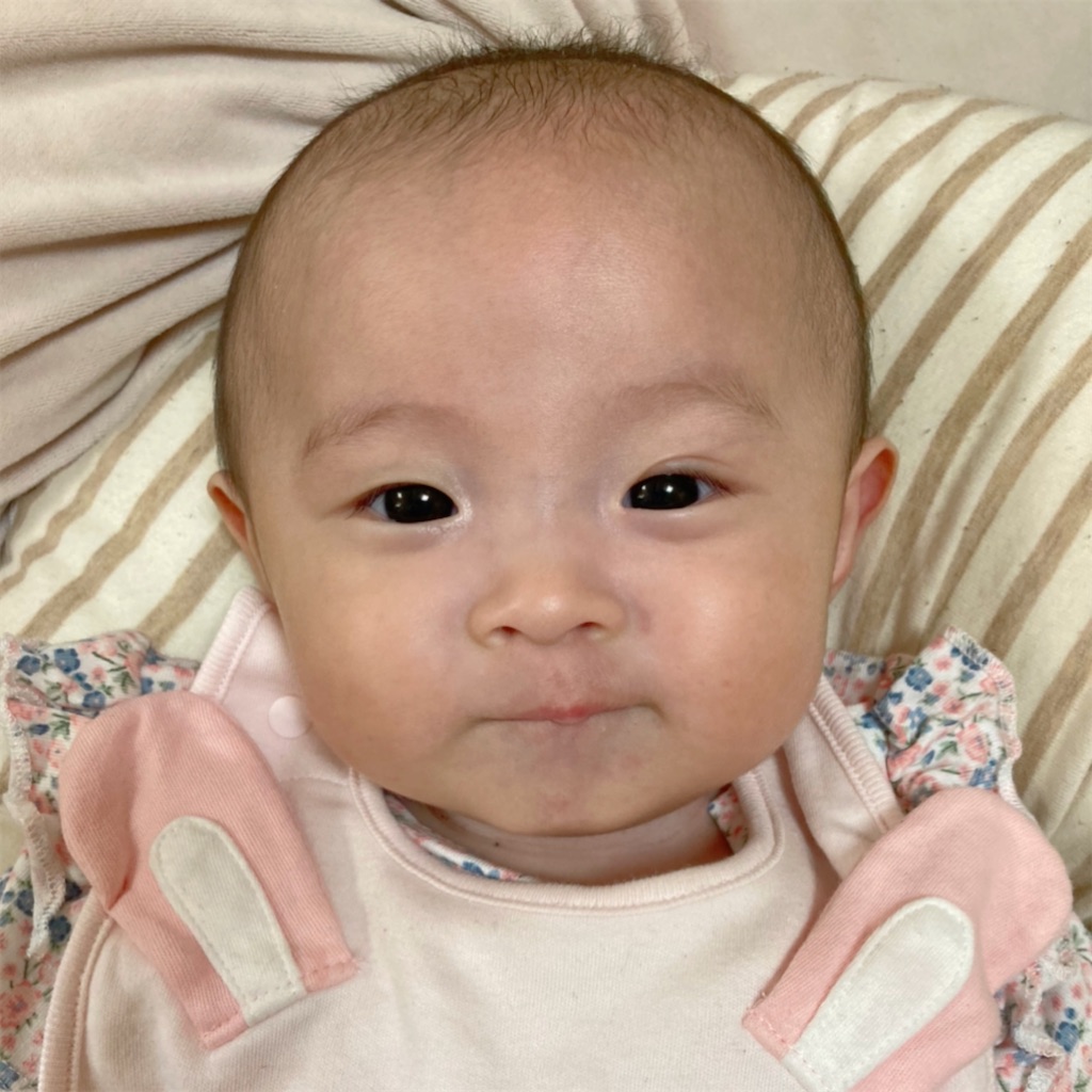f:id:merankorinisuta:20210510090344j:image f:id:merankorinisuta:20210510090344j:image
