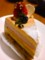 20100309040525