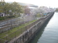 20100503010422