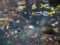 20100503010426