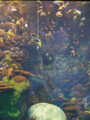 20100503010427