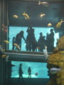 20100503010428