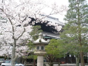 20100503010437