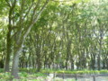 20100608015434