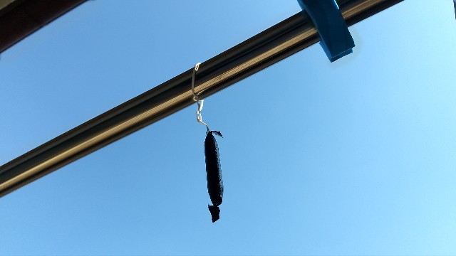 f:id:mercaribian:20210601195956j:image