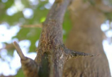 f:id:merci3:20170104221402j:plain