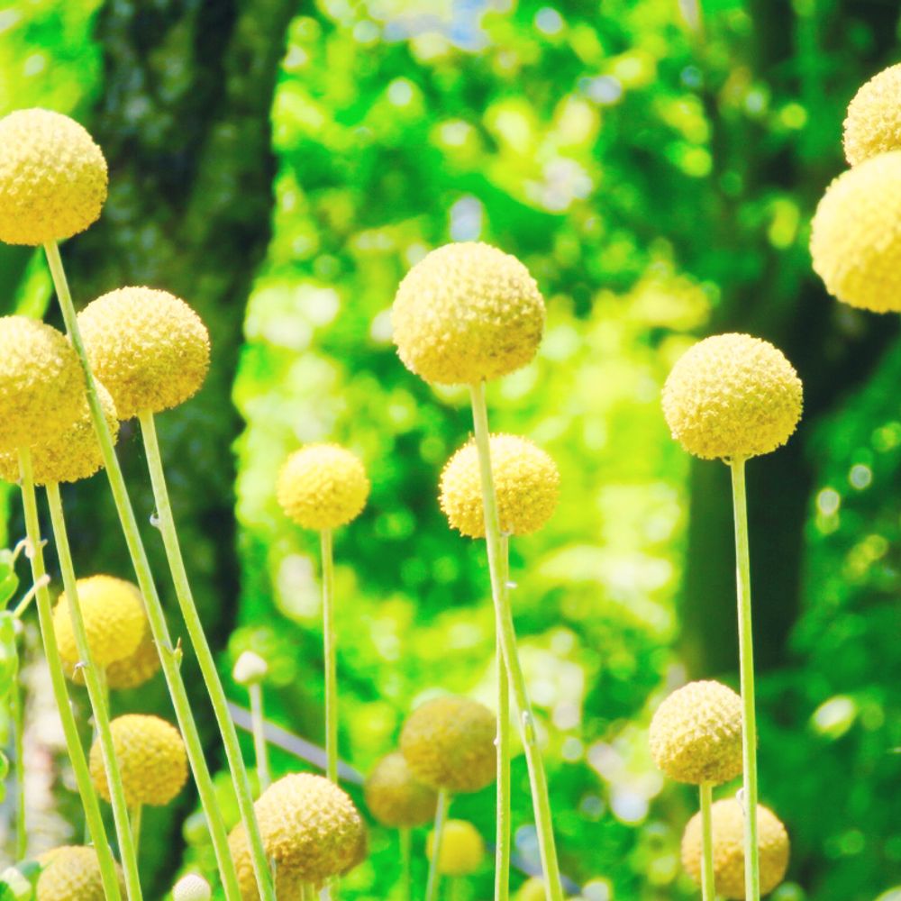 f:id:merci3:20210830085432j:plain