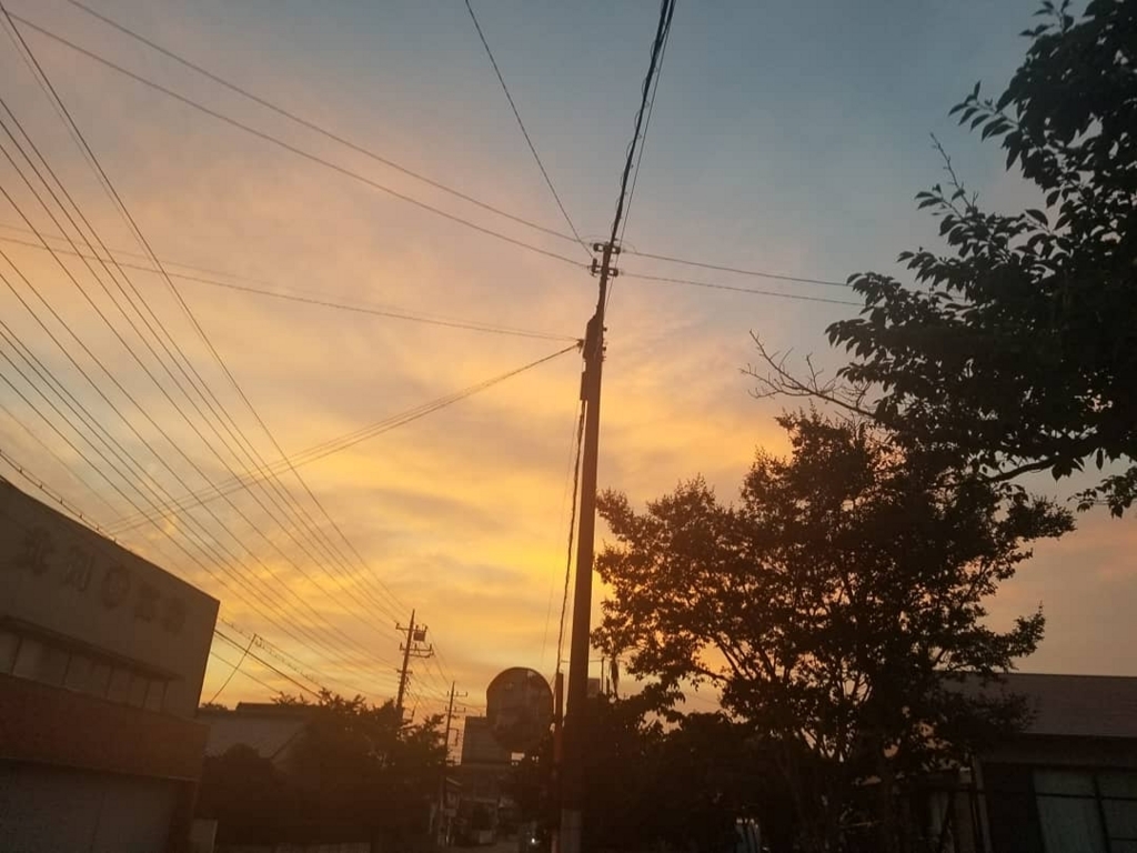 f:id:mercy0707:20180722222239j:plain