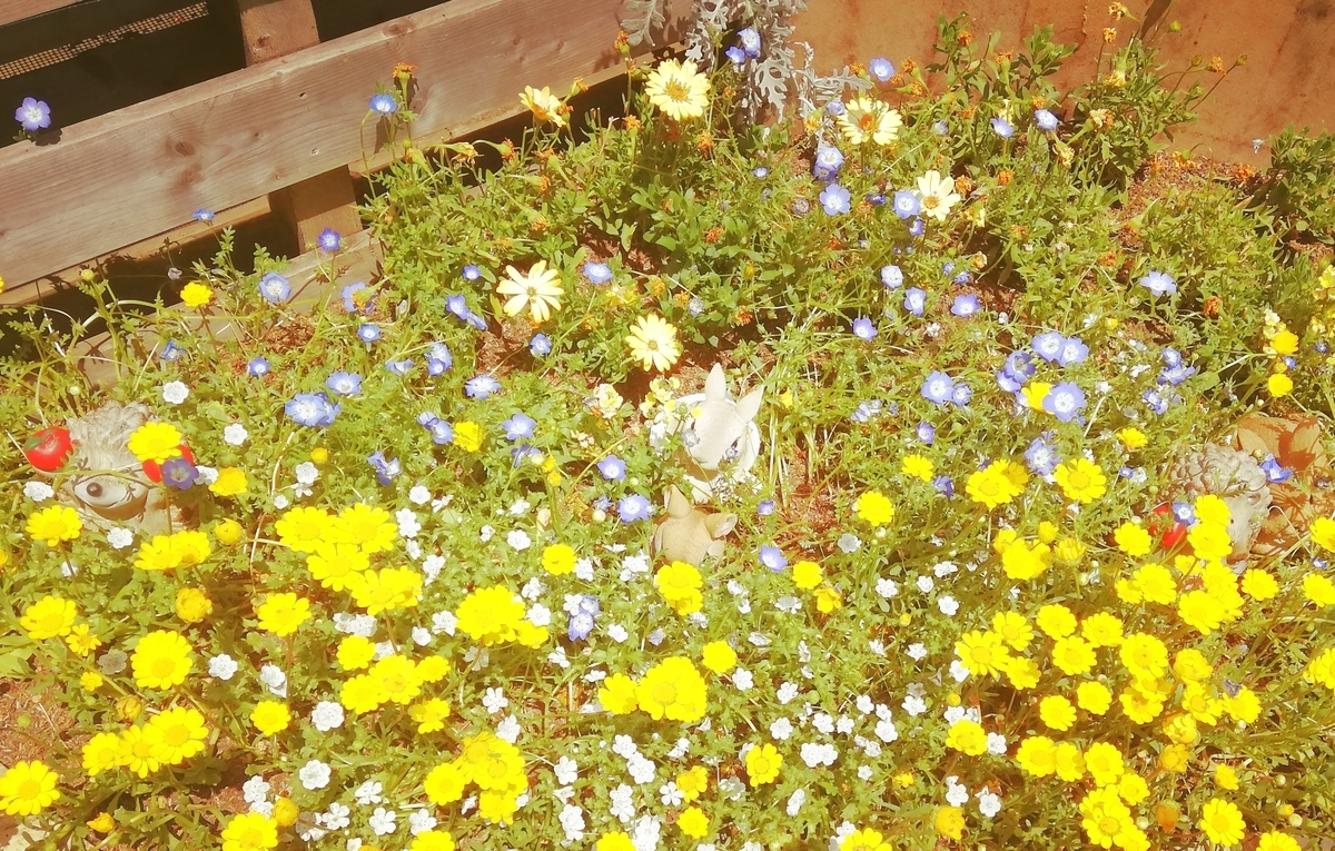 f:id:mercy0707:20190518125046j:plain