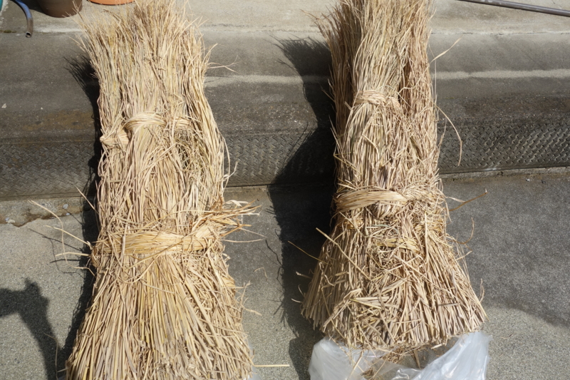 f:id:merderu:20160910134523j:image:w360 f:id:merderu:20160910134523j:image:w360