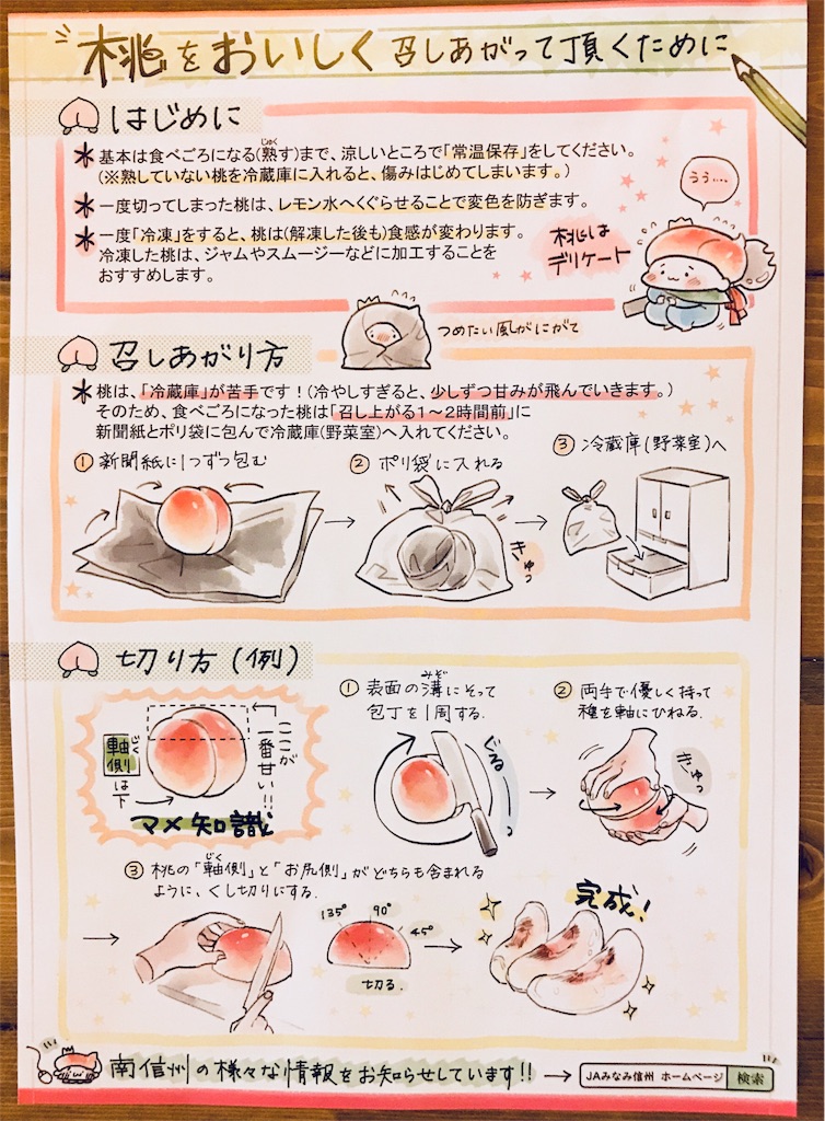 桃 桃の切り方を知りました ピーチ コツメの母さん 今日は何かやってみよう