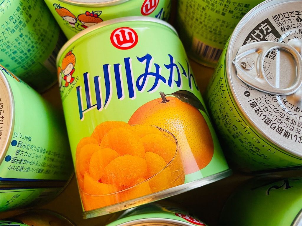 ふるさと納税返礼品 福岡県大牟田市 山川みかん缶詰24缶セット コツメの母さん 今日は何かやってみよう