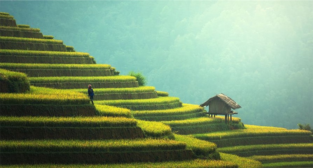 f:id:merenngetan:20200611172253j:image