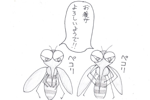 f:id:merikenkoac:20200430095240j:plain f:id:merikenkoac:20200430095240j:plain