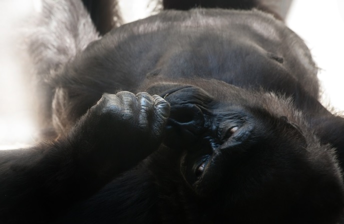 f:id:merikenkoac:20200730094642j:plain f:id:merikenkoac:20200730094642j:plain