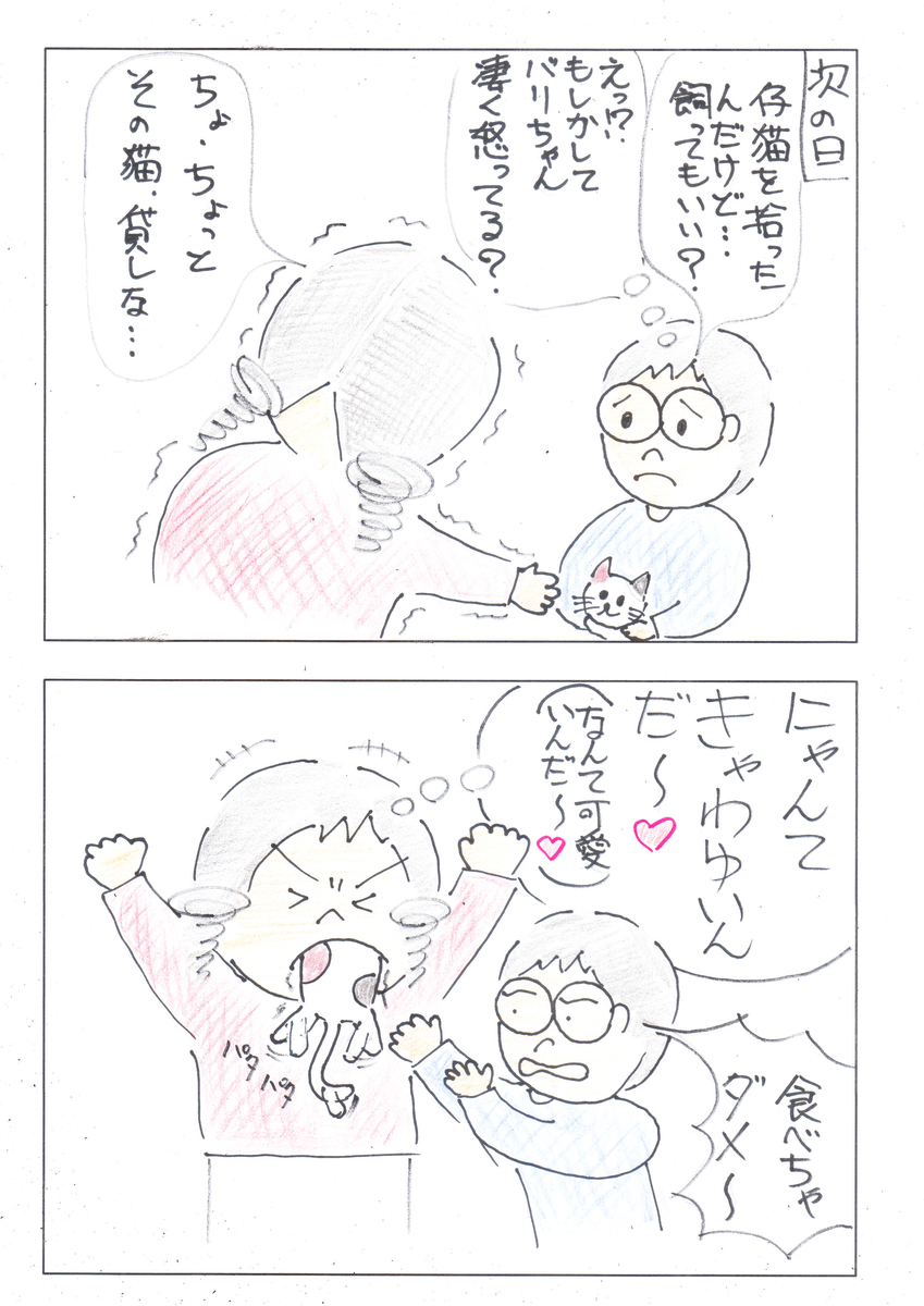 f:id:merikenkoac:20201029123811j:plain f:id:merikenkoac:20201029123811j:plain