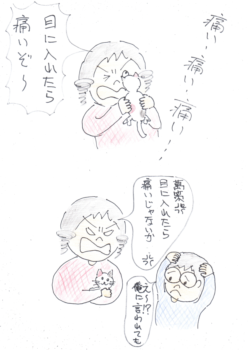 f:id:merikenkoac:20201029123852j:plain f:id:merikenkoac:20201029123852j:plain