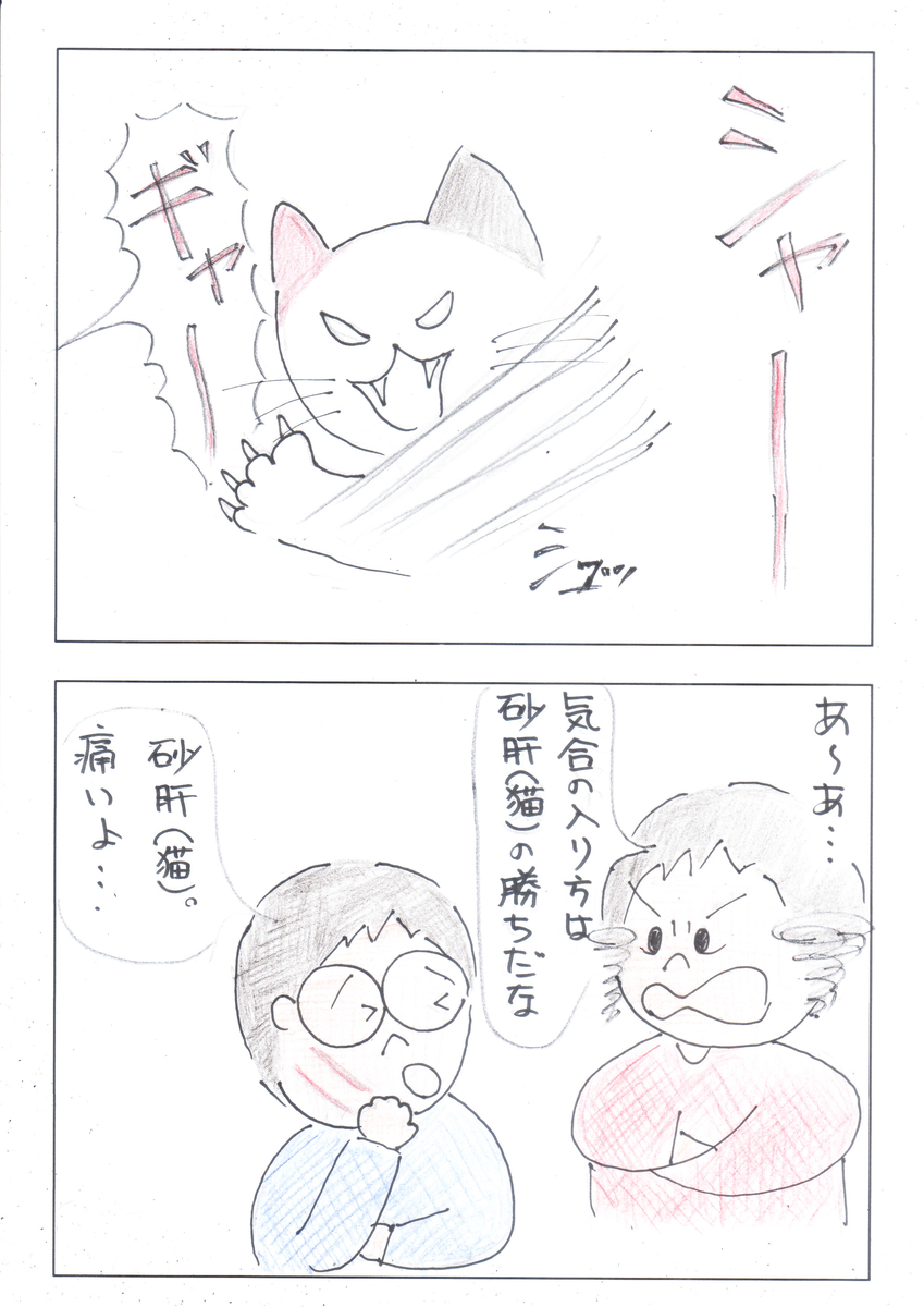 f:id:merikenkoac:20201217134317j:plain