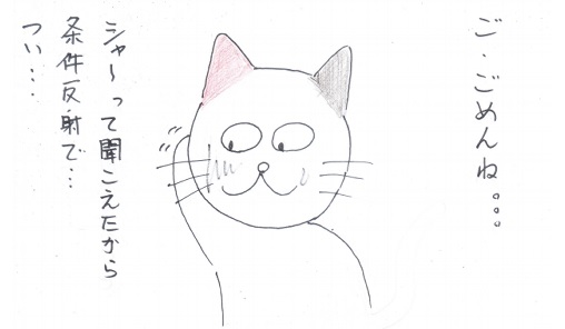 f:id:merikenkoac:20201217134346j:plain