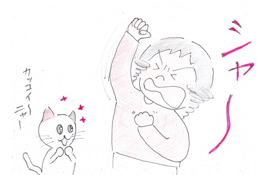 f:id:merikenkoac:20201217134407j:plain