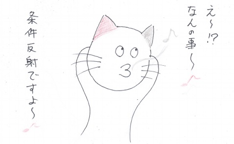 f:id:merikenkoac:20201217134501j:plain