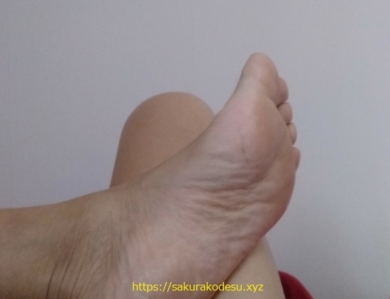 f:id:meringuefine:20200117194141j:plain:w300 f:id:meringuefine:20200117194141j:plain:w300