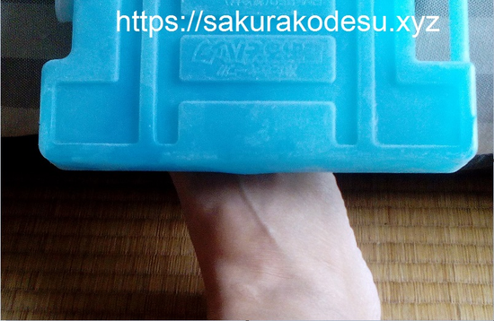 f:id:meringuefine:20200117194151p:plain f:id:meringuefine:20200117194151p:plain