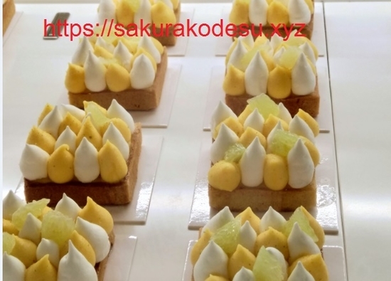 f:id:meringuefine:20200210232052j:plain:w300 f:id:meringuefine:20200210232052j:plain:w300