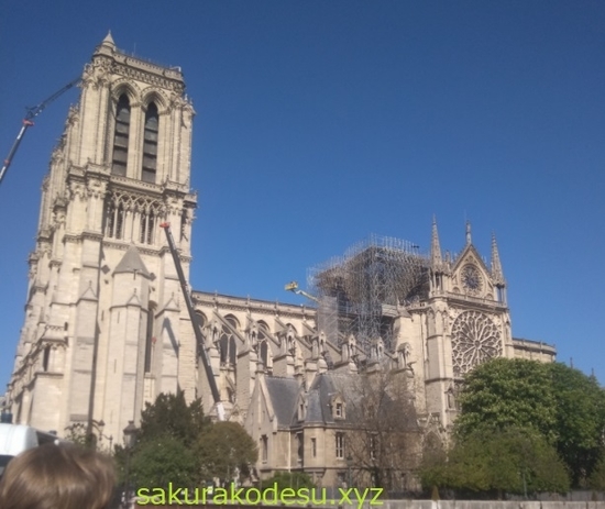 f:id:meringuefine:20200214220112j:plain:w300 f:id:meringuefine:20200214220112j:plain:w300