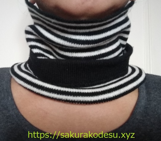 f:id:meringuefine:20200417012642j:plain:w300